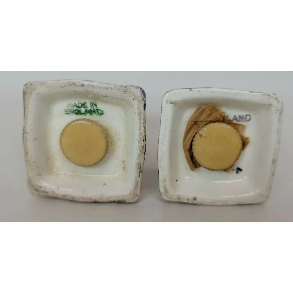 Vintage‎ Floral Chintz Salt & Pepper Shakers England